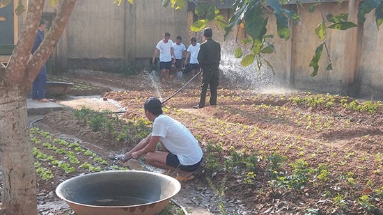 Học viên trồng rau tại trung tâm. Ảnh: Trung tâm cung cấp