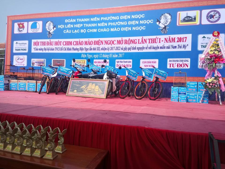 Hội thi đấu hót chim chào mào Điện Ngọc lần thứ I quy tụ hàng chục đơn vị trên khắp toàn quốc tham gia. Ảnh: Q.T