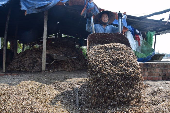  Sau một ngày lao động cực nhọc, mỗi người được trả công 150 nghìn đồng/ngày.