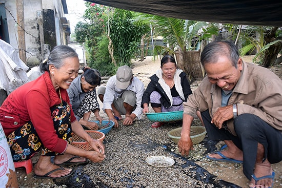 Người dân trúng đậm mùa ốc đinh.