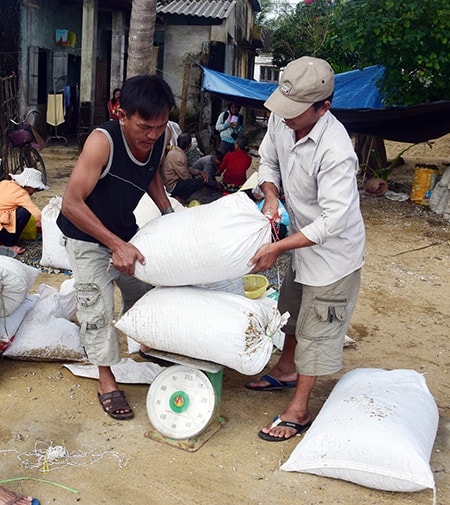 Cân ốc bán cho thương lái.