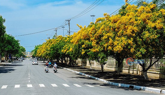 Không gian đô thị Tam Kỳ. Ảnh: HẢI HOÀNG