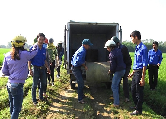 Tuổi trẻ Phú Ninh ra quân lắp đặt bế chứa rác thải bằng bê tông trên đồng ruộng. Ảnh: V.CÔNG