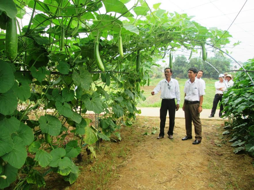 Cán bộ và hội viên nông dân huyện Duy Xuyên tham quan mô hình trồng rau quả sạch tại Hợp tác xã La Hường.
