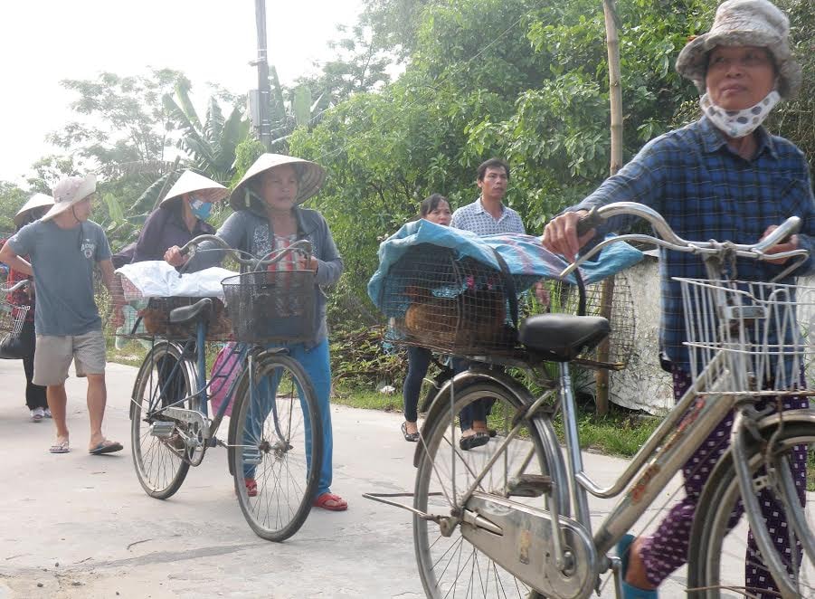 Đưa vật nuôi đến nơi cao ráo.