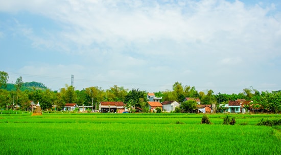 Làng quê xứ Quảng. Ảnh: PHƯƠNG THẢO