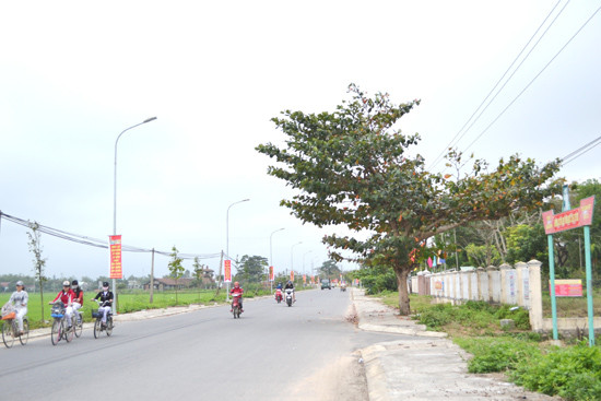  Một tuyến ĐH được kiên cố hóa khang trang.Ảnh: K.KHIÊM