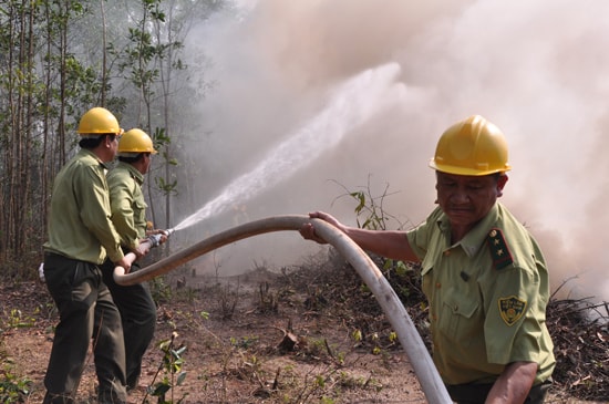 Lực lượng kiểm lâm dùng nước dập tắt vụ cháy rừng tại xã Duy Sơn (Duy Xuyên) xảy ra cách đây 3 năm.   Ảnh: TRẦN HỮU