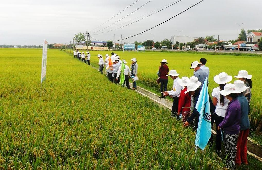 Tham quan các mô hình sản xuất khảo nghiệm tại xã Quế Phú (Quế Sơn) vào sáng nay 14.4.