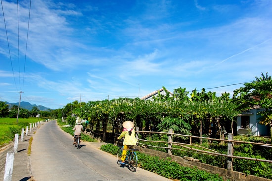 Phong cảnh làng quê Quảng Nam. Ảnh: PHƯƠNG THẢO