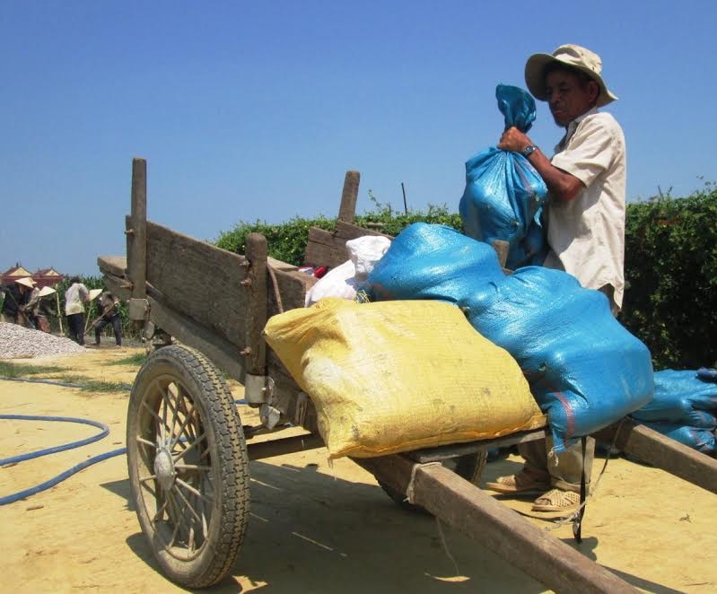 Không thấy thương lái đến ruộng thu mua, nhiều hộ dân hái bí chở ra các chợ bán lẻ. Ảnh: HOÀI NHI