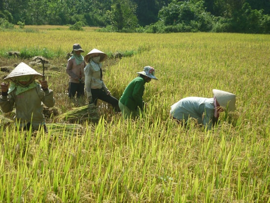 Người nghèo cần tự vươn lên thoát nghèo bằng chính sức lao động của mình. Ảnh: D.LỆ