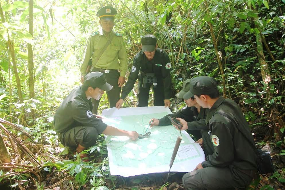 Đội bảo vệ rừng. 