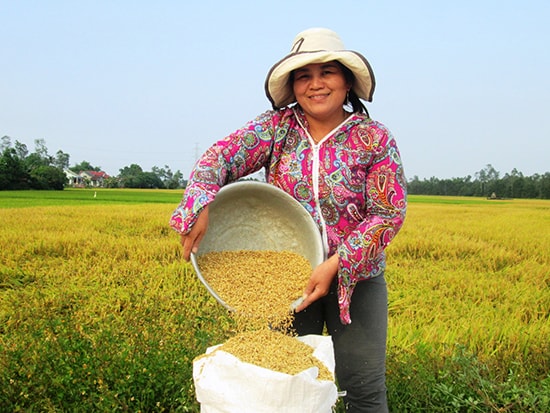 Nhà nông phấn khởi vì lúa đông xuân được mùa.Ảnh: TƯ RUỘNG