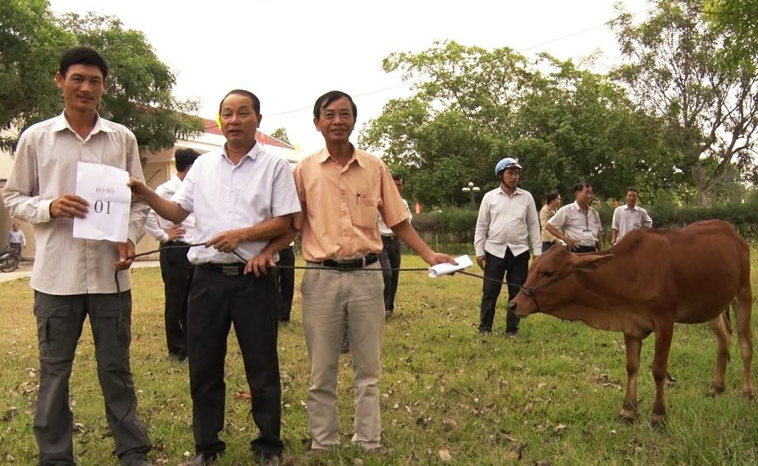 Đại diện Ủy ban MTTQ Việt Nam xã Tam Lộc trao bò cho hộ nghèo