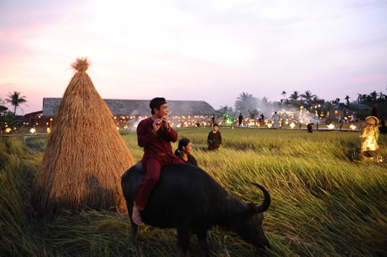 Anh mục đồng trên lưng trâu thổi sáo vi vu là hình ảnh khiến du khách cảm nhận về nông thông xứ Quảng. Ảnh: MINH HẢI