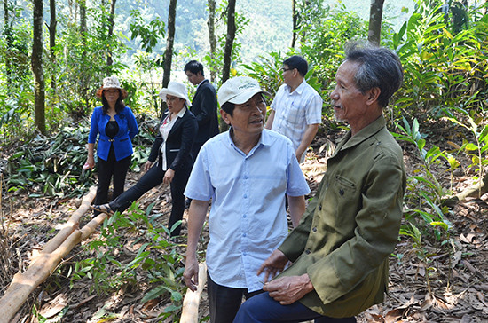 Phó Chủ tịch HĐND tỉnh Nguyễn Hoàng Minh (thứ 2 từ trái sang) trong chuyến khảo sát vùng cao xã Trà Leng (Nam Trà My). Ảnh: T.HỮU