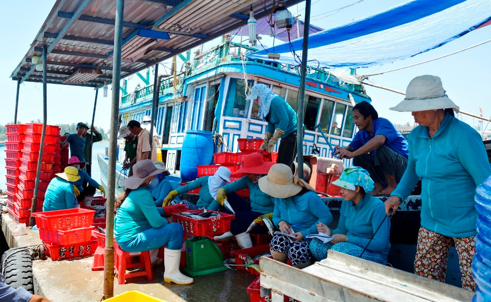 Mua bán cá tại bến đò xã Tam Quang sau chuyến biển từ Hoàng Sa. Ảnh: XUÂN THỌ