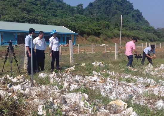 Mô hình trồng gừng trong bao tại Làng thanh niên lập nghiệp Thạnh Mỹ.