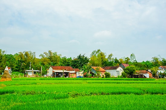 Đất hương hỏa góp phần cố kết cộng đồng ở làng xã xưa. TRONG ẢNH: Làng quê Quảng Nam. (ảnh minh họa).Ảnh: PHƯƠNG THẢO