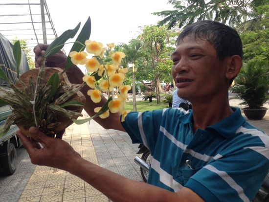 Những người trồng nuôi trồng lan mang hoa đến tham dự. Ảnh: MINH HẢI