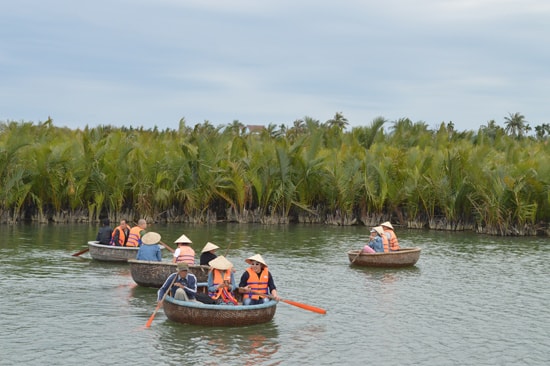 Để cho rừng dừa nước Cẩm Thanh phát triển bền vững cần có sự đồng thuận của các bên liên quan.Ảnh: VĨNH LỘC