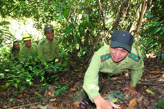 Kiểm lâm viên Trạm chốt chặn rừng lim Lăng - Zuôih trên đường tuần tra. Ảnh: ALĂNG NGƯỚC