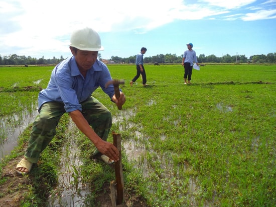 Nông dân xã Tam Ngọc tham gia dồn điền đổi thửa. Ảnh: X.T