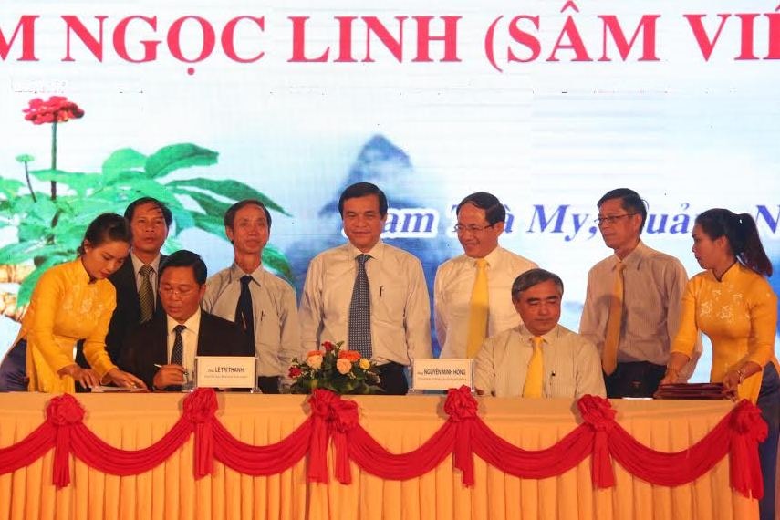 Deputy Minister of Information and Communications Nguyen Minh Hong gives the decision to issue the special stamps of Ngoc Linh ginseng to Quang Nam.