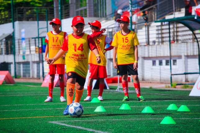 Các cầu thủ 