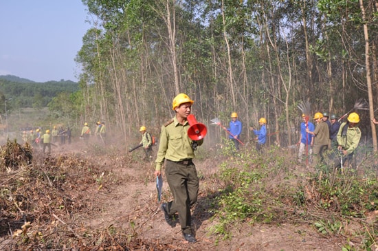 Diễn tập phòng chống cháy rừng. Ảnh: T.N