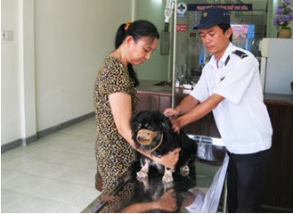 Chủ động tiêm phòng vắc xin dại cho chó nuôi - Ảnh minh họa
