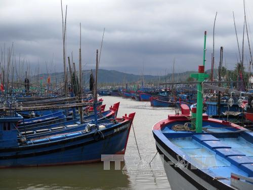 Hàng ngàn tàu thuyền vào âu thuyền Tam Quan Bắc, huyện Hoài Nhơn, Bình Định để tránh trú áp thấp nhiệt đới. Ảnh: Viết Ý/TTXVN