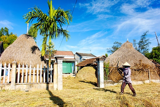 Làng quê xứ Quảng. Ảnh: PHƯƠNG THẢO