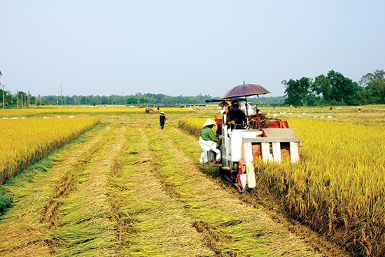 Người dân rất cần vốn để phát triển sản xuất nông nghiệp. Ảnh: PHƯƠNG THẢO