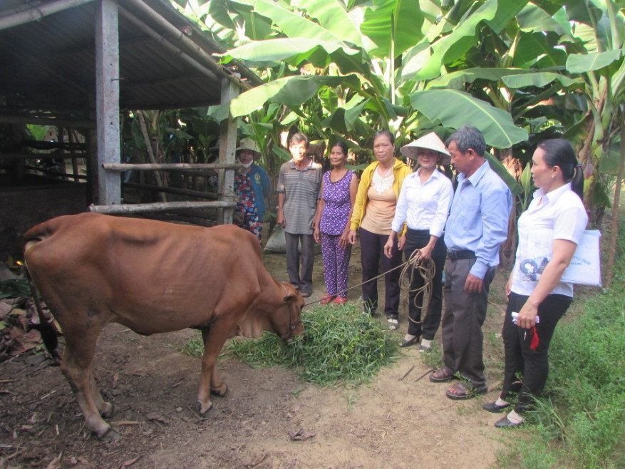 Hội LHPN xã Tam Thạnh trao bò sinh sản cho hộ