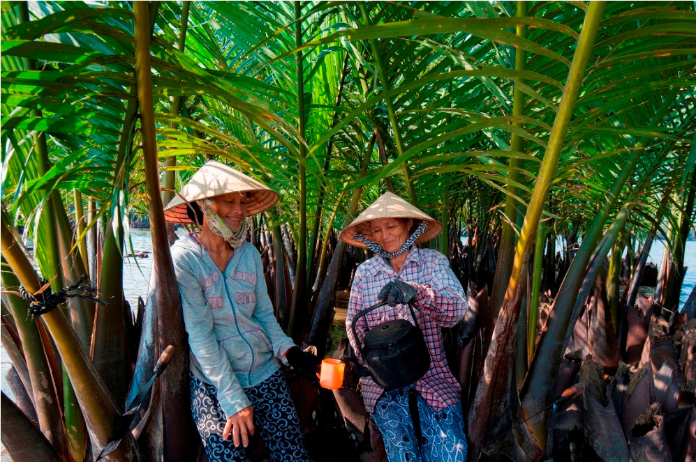 Hai Chị Em Đang Nghĩ Uống Nước Sau Khi Chất Dừa Xong