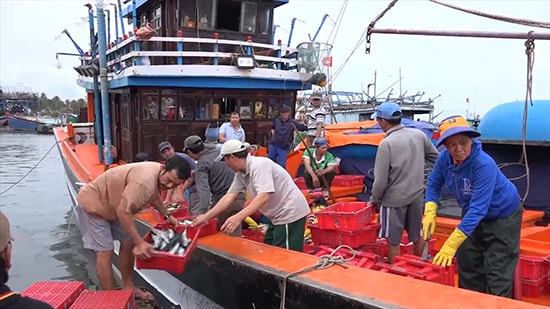 Tay nghề lao động ngành ngư nghiệp của tỉnh được đánh giá cao, đây là một lợi thế để đi xuất khẩu lao động trong ngành này. Ảnh: D.L