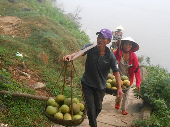 Gánh trái ra chợ.