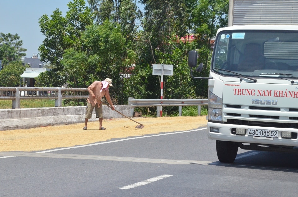 Phơi lúa đầu cầu Bình Lứt Km 979 QL 1A ( Chụp lúc 9 giờ 12.9)