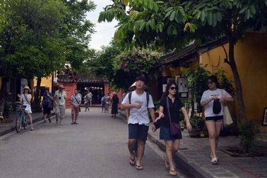 Increasing South Korean visitors to Viet Nam