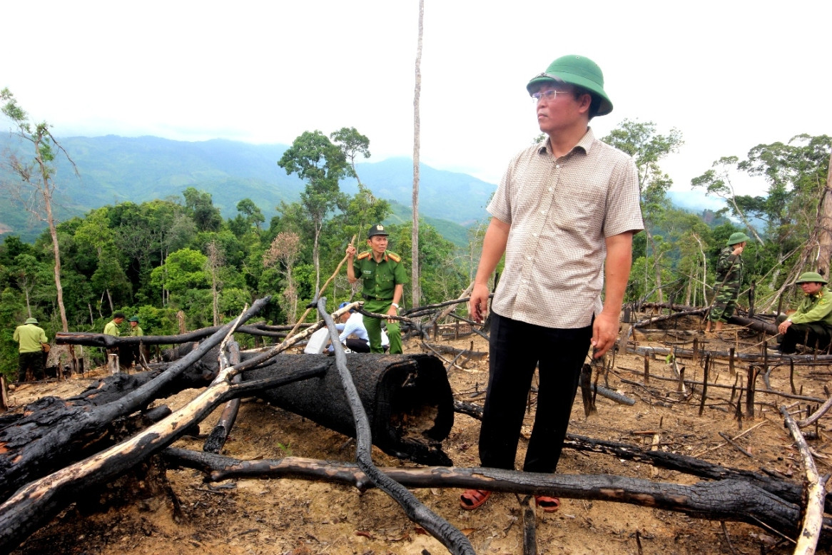 Phó Chủ tịch UBND tỉnh Lê Trí Thanh kiểm tra tình trạng phá rừng tại hiện trường. Ảnh N.Đ.T
