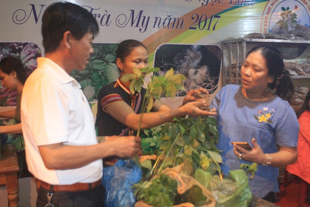 Sâm Ngọc Linh thu hút sự quan tâm của nhiều khách hàng. Ảnh: N.DƯƠNG