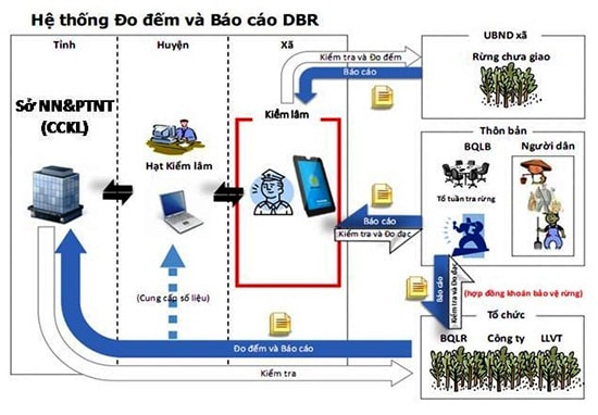 Mô hình giám sát rừng bằng công nghệ cao.Ảnh: H.LIÊN