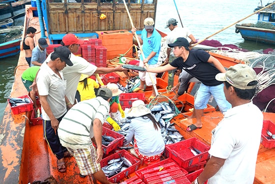  Sea products exploitation, the crucial link in the development strategy for marine economy.