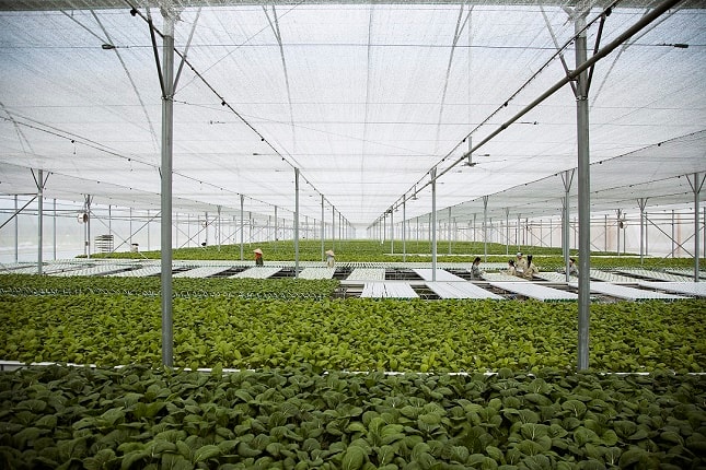 Chỉ trong vòng 24 tháng, VinEco đã xây dựng và phát triển thành công 14 nông trường quy mô và chuyên nghiệp trên cả nước.
