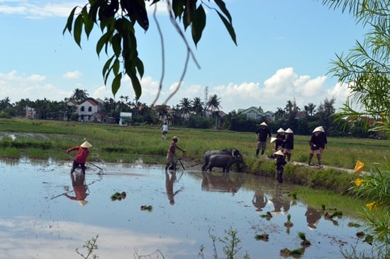 Tour du lịch trải nghiệm làng An Mỹ đã mang đến nhiều cảm xúc thú vị cho du khách