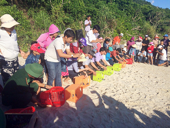 Người dân chứng kiến việc thả rùa con về đại dương tại Cù lao Chàm.