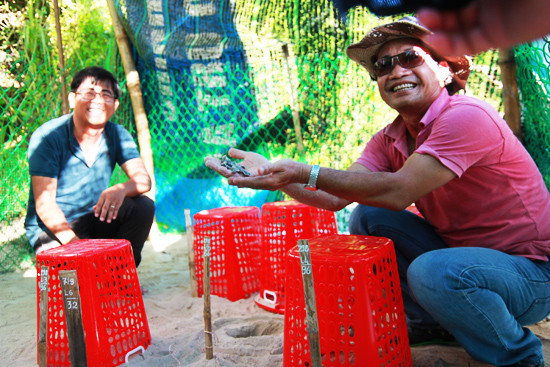 Thạc sĩ Lê Xuân Ái đón cá thể rùa đầu tiên ấp nở thành công tại Cù Lao Chàm.