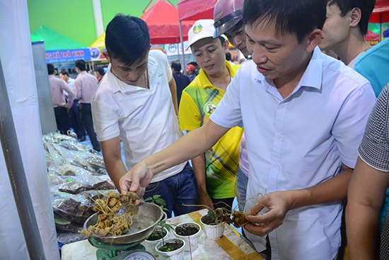 Phiên chợ sâm Ngọc Linh được tổ chức ở Nam Trà My vừa qua thu hút rất đông khách tham quan, mua bán.  Ảnh: NG. Dương